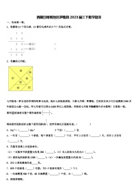 西藏日喀则地区萨嘎县2023届三下数学期末含解析