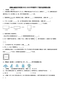 西藏山南地区琼结县2022-2023学年数学三下期末监测模拟试题含解析