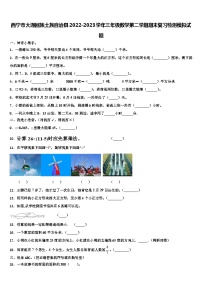 西宁市大通回族土族自治县2022-2023学年三年级数学第二学期期末复习检测模拟试题含解析