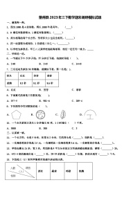 肇州县2023年三下数学期末调研模拟试题含解析