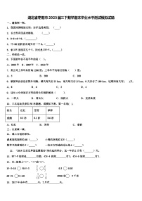 湖北省枣阳市2023届三下数学期末学业水平测试模拟试题含解析