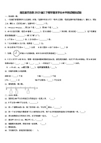 湖北省巴东县2023届三下数学期末学业水平测试模拟试题含解析