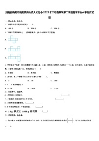 湖南省衡阳市衡阳县井头镇大云完小2023年三年级数学第二学期期末学业水平测试试题含解析