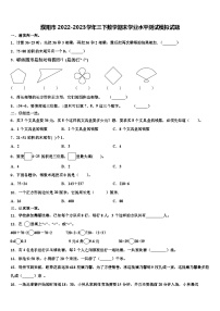 濮阳市2022-2023学年三下数学期末学业水平测试模拟试题含解析