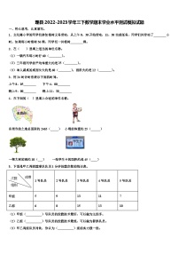 理县2022-2023学年三下数学期末学业水平测试模拟试题含解析