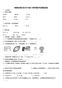 阿里地区普兰县2023届三下数学期末考试模拟试题含解析