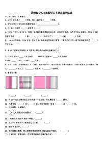 边坝县2023年数学三下期末监测试题含解析