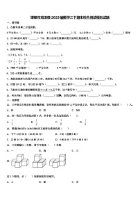 邯郸市鸡泽县2023届数学三下期末综合测试模拟试题含解析