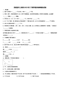 防城港市上思县2023年三下数学期末调研模拟试题含解析