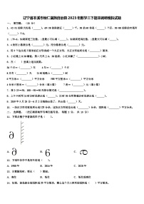 辽宁省本溪市桓仁满族自治县2023年数学三下期末调研模拟试题含解析