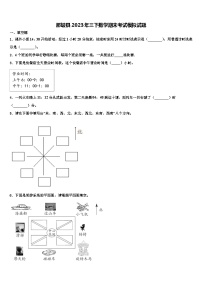 那坡县2023年三下数学期末考试模拟试题含解析