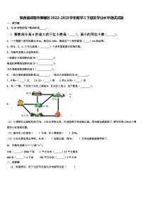 陕西省咸阳市秦都区2022-2023学年数学三下期末学业水平测试试题含解析