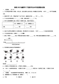 陕县2023届数学三下期末学业水平测试模拟试题含解析