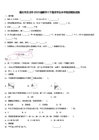 重庆市合川市2023届数学三下期末学业水平测试模拟试题含解析