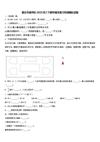 重庆市渝中区2023年三下数学期末复习检测模拟试题含解析