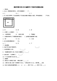 黑河市嫩江县2023届数学三下期末考试模拟试题含解析