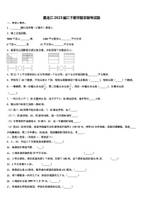 黑龙江2023届三下数学期末联考试题含解析