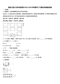 黑龙江省大兴安岭塔河县2022-2023学年数学三下期末统考模拟试题含解析