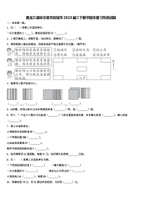 黑龙江省哈尔滨市双城市2023届三下数学期末复习检测试题含解析