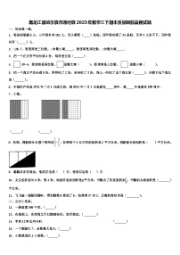 黑龙江省哈尔滨市通河县2023年数学三下期末质量跟踪监视试题含解析