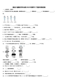 黑龙江省黑河市孙吴县2023年数学三下期末经典试题含解析