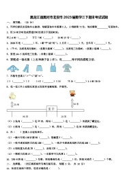 黑龙江省黑河市北安市2023届数学三下期末考试试题含解析