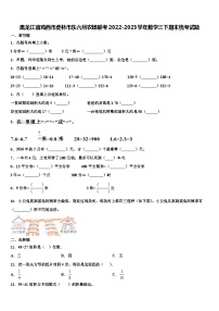 黑龙江省鸡西市虎林市东六所农场联考2022-2023学年数学三下期末统考试题含解析