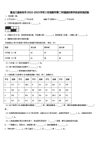 黑龙江省讷河市2022-2023学年三年级数学第二学期期末教学质量检测试题含解析