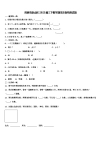 鸡西市麻山区2023届三下数学期末达标检测试题含解析