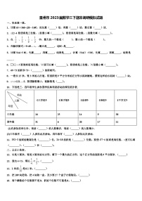 雷州市2023届数学三下期末调研模拟试题含解析