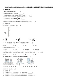 黑龙江省大庆市龙凤区2023年三年级数学第二学期期末学业水平测试模拟试题含解析