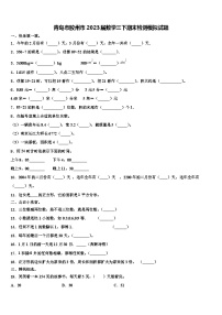 青岛市胶州市2023届数学三下期末检测模拟试题含解析