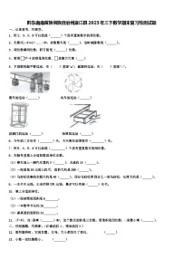 黔东南南苗族侗族自治州麻江县2023年三下数学期末复习检测试题含解析