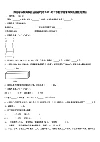 黔南布依族苗族自治州都匀市2023年三下数学期末教学质量检测试题含解析