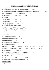 陕西省渭南市2023届数学三下期末教学质量检测试题含解析