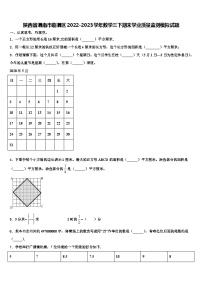 陕西省渭南市临渭区2022-2023学年数学三下期末学业质量监测模拟试题含解析