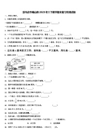 驻马店市确山县2023年三下数学期末复习检测试题含解析