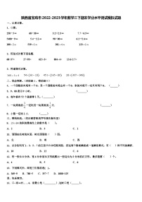 陕西省宝鸡市2022-2023学年数学三下期末学业水平测试模拟试题含解析