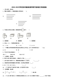 2022-2023学年吉林市昌邑区数学四下期末复习检测试题含解析