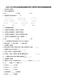 2022-2023学年山东省济南市高新区学卷A数学四下期末质量跟踪监视试题含解析