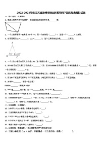 2022-2023学年江苏省徐州市铜山区数学四下期末经典模拟试题含解析