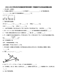 2022-2023学年武汉市武昌区数学四年级第二学期期末学业质量监测模拟试题含解析