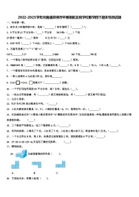 2022-2023学年河南省郑州市中原领航实验学校数学四下期末检测试题含解析