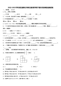 2022-2023学年湖北省黄石市黄石港区数学四下期末质量跟踪监视试题含解析