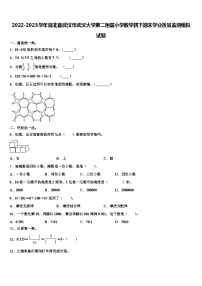 2022-2023学年湖北省武汉市武汉大学第二附属小学数学四下期末学业质量监测模拟试题含解析