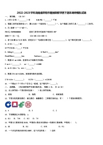 2022-2023学年湖南省邵阳市隆回县数学四下期末调研模拟试题含解析