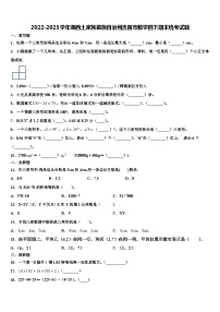 2022-2023学年湘西土家族苗族自治州吉首市数学四下期末统考试题含解析