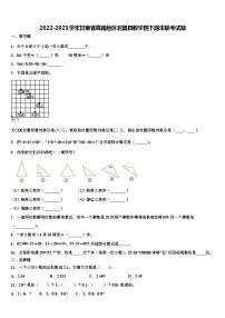 2022-2023学年甘肃省陇南地区宕昌县数学四下期末联考试题含解析