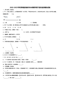 2022-2023学年贵州省安顺市关岭县数学四下期末监测模拟试题含解析