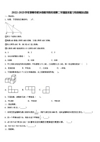 2022-2023学年邯郸市肥乡县数学四年级第二学期期末复习检测模拟试题含解析